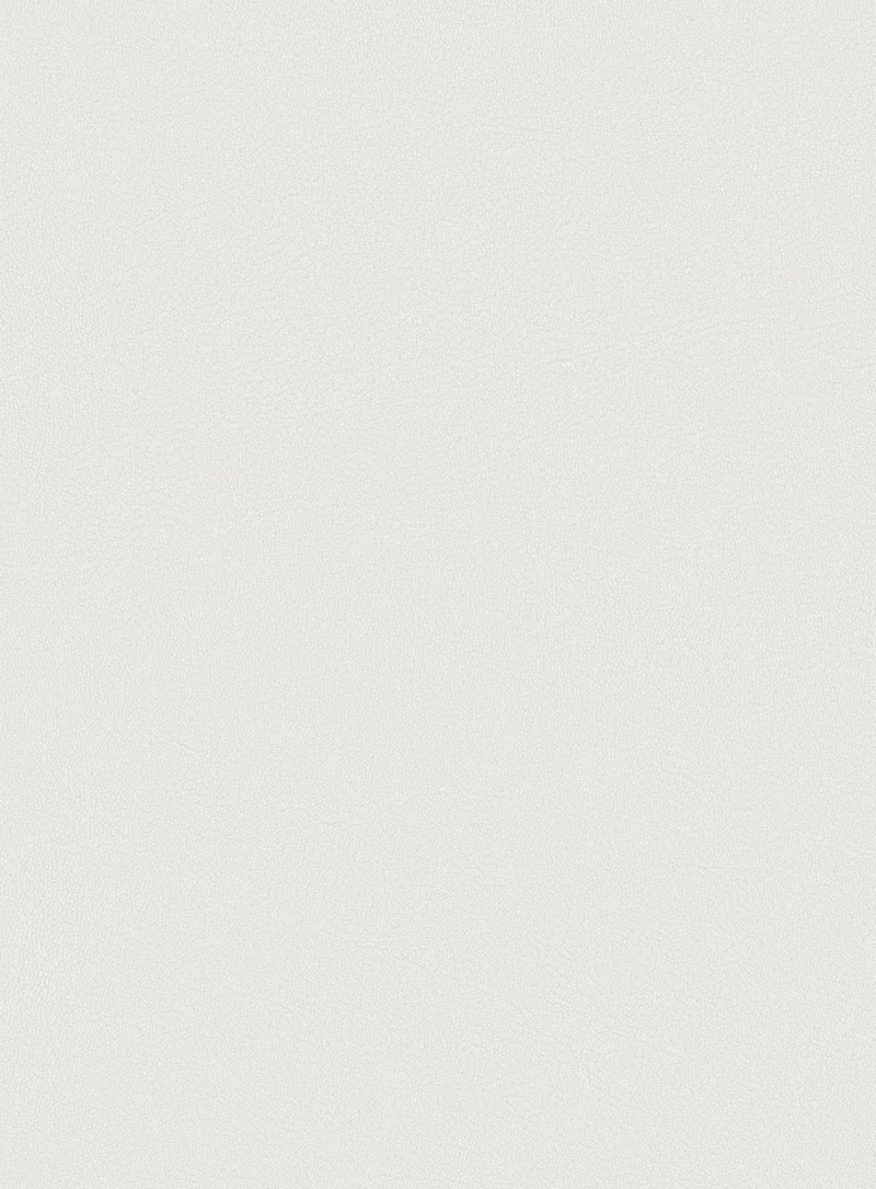 D1605 Warm White (浣溪沙暖白) PVC-free decorative film