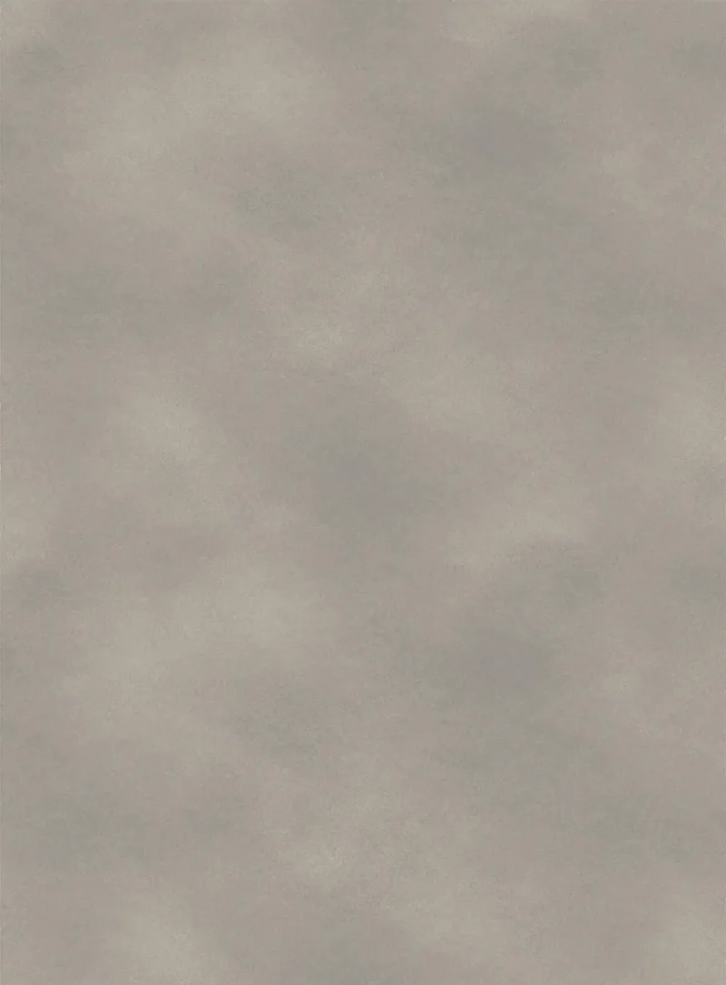 D1606 City Wall Grey (城垣灰舞) PVC-free decorative film