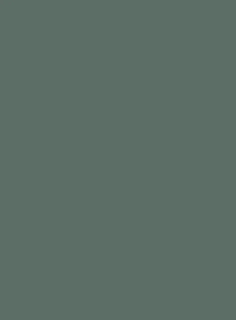 D1634 Milk Grey Green (奶灰绿) PVC-free decorative film