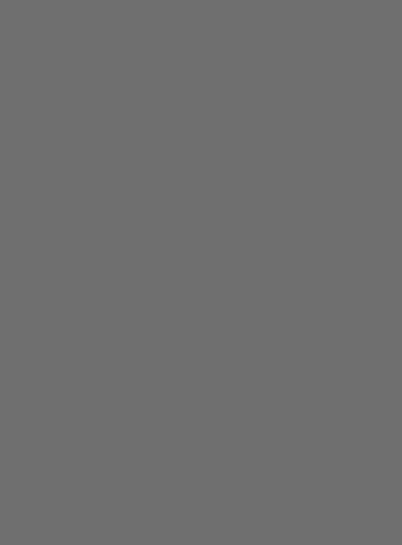 D1635 Statue Dark Grey (石像暗灰) PVC-free decorative film