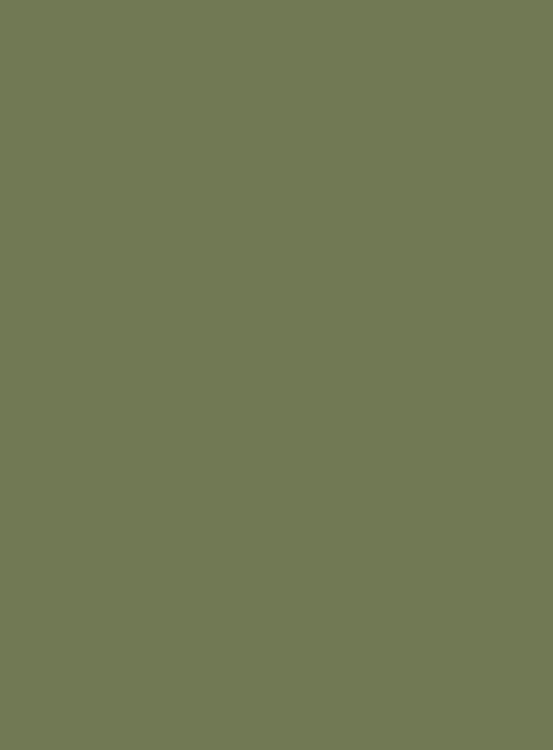 D1636 Wild Fern Green (野蕨绿) PVC-free decorative film