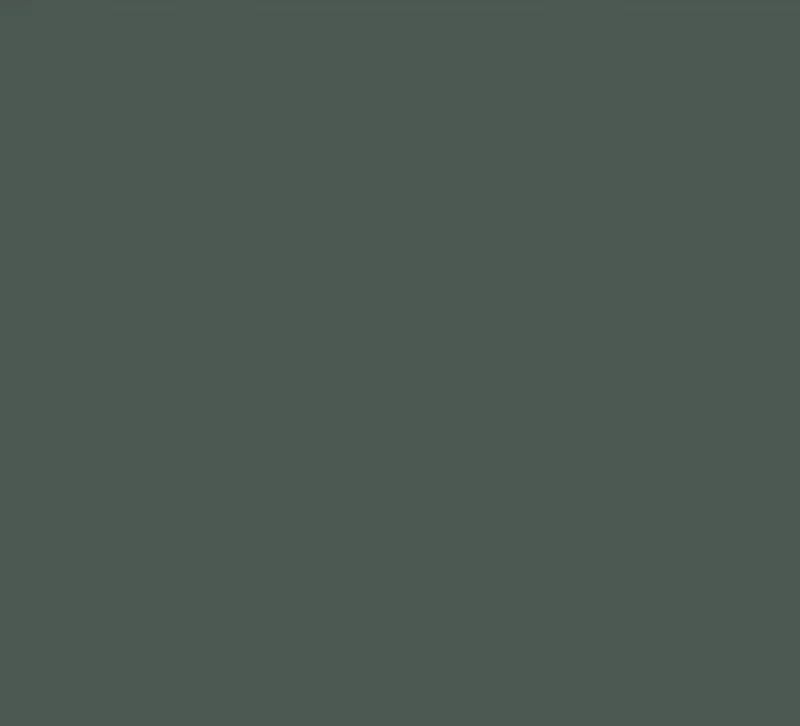 D1653 Sand Seaweed Green (砂面海藻绿) PVC-free decorative film