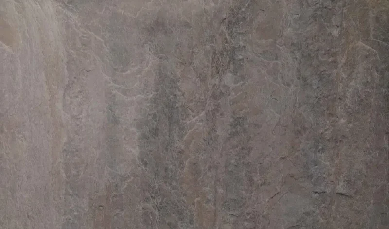 PA900DM texture